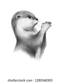Otter Sketch High Res Stock Images Shutterstock When i first started drawing as a beginner, i really wanted to learn how to draw a car but was nowhere nearly as skilled as i wanted to be with my art. https www shutterstock com image illustration animal sketch cute little river otter 1280368303