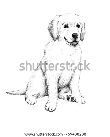 Animal Sketch Pencil Drawing Dog Cute Stock Illustration 769438288