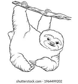 Animal Sloth Line Art Illustration Stock Illustration 1964499202 