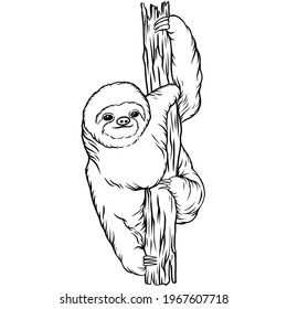 Animal Sloth Line Art Illustration Stock Illustration 1967607718 ...