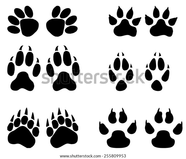 Animal Trace Set Stock Illustration 255809953