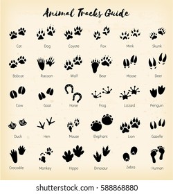 Animal Tracks - Foot Print Guide 