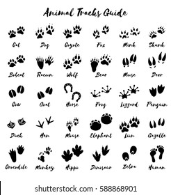 Animal Tracks - Foot Print Guide 