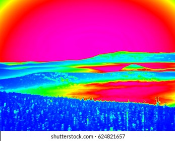 Animal view. Infrared scan of hilly landscape, pine forest with colorful fog, hot sunny sky above. Grunge background in amazing thermography colors.