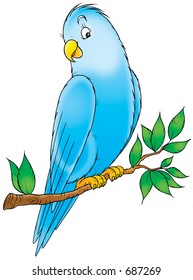 Animals 517