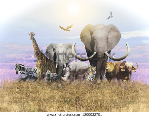 Animals of Africa and a domestic cat leave the heat. 3D rendering wallpaper mural.