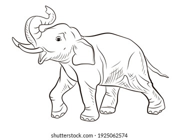 52,944 Coloring book zoo Images, Stock Photos & Vectors | Shutterstock