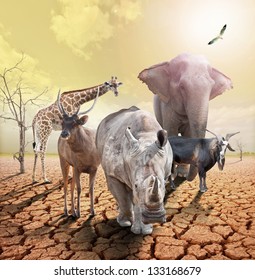 Animals Concept Image Of Global Warming.