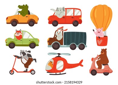 Animals drive car vehicle transport illustration set. Cartoon funny drivers bunny rabbit crocodile elephant fox raccoon giraffe bear character driving, cute pig flying balloon isolated on white