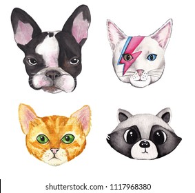 Animals face - cat, dog and raccoon on white background