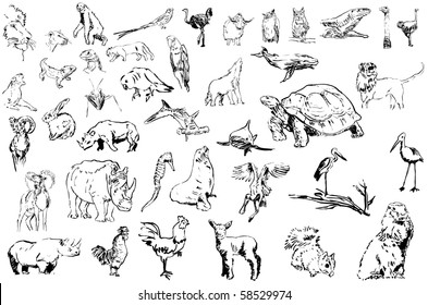 10,279 Rooster line art Images, Stock Photos & Vectors | Shutterstock