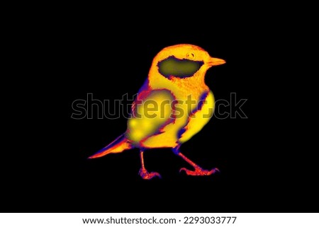 Similar – Beautiful yellow and grey canary