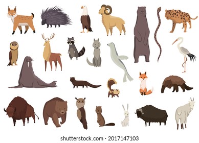 Animals of north america. Nature fauna collection. Geographical local fauna. Mammals living on continent.  illustration in kids style
