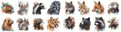 Animals Of North America Set Painted With Watercolors On A White Background In A Realistic Manner.