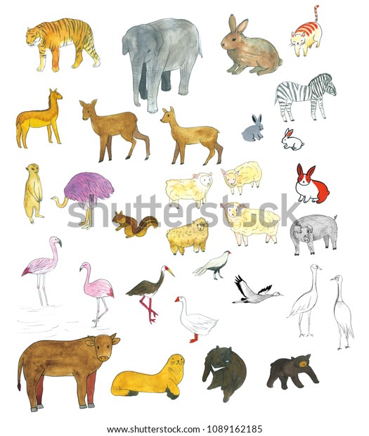 Animals Watercolor Hand Drawn Illustrations Set Stock Illustration ...