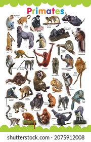 Animals World Kids Poster Cute Animals Stock Illustration 2075912008 ...