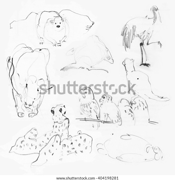 Animals Zoo Pencil Sketches Stock Illustration 404198281