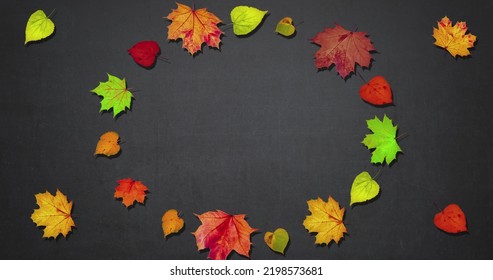 Animated Frame Made Of Rotating Dry Autumn Leaves, Copy Space, Happy Thanksgiving Day Background Concept, Discount And Sale For This Holiday. High Quality Image