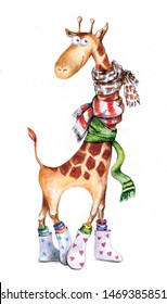 Animated Giraffe In Scarves And Boots