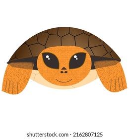 Animated Swimming Turtle Animal Cartoon