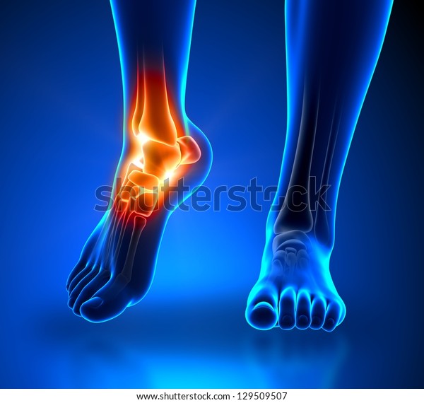 Ankle pain in detail -\
Anatomy concept
