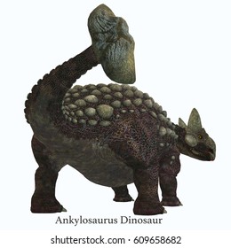 フォント3dイラストとアンキロサウルス恐竜の尾 アンキロサウルスは 白亜紀の北米に住む草食性の装甲恐竜だった のイラスト素材