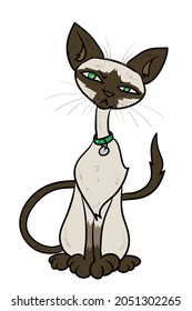 Annoyed Siamese Cat With Green Collar