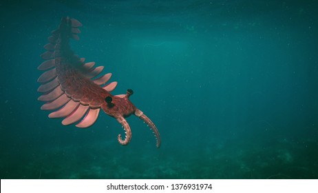 Anomalocaris, Creature Of The Cambrian Period (3d Paleoart Illustration)