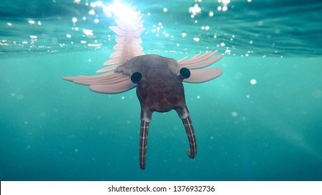 Anomalocaris, Creature Of The Cambrian Period (3d Science Illustration)