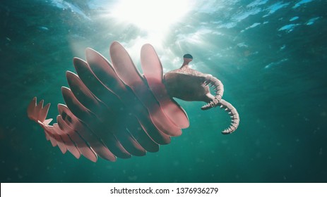 Anomalocaris, Life Form Of The Cambrian Period (3d Science Illustration)