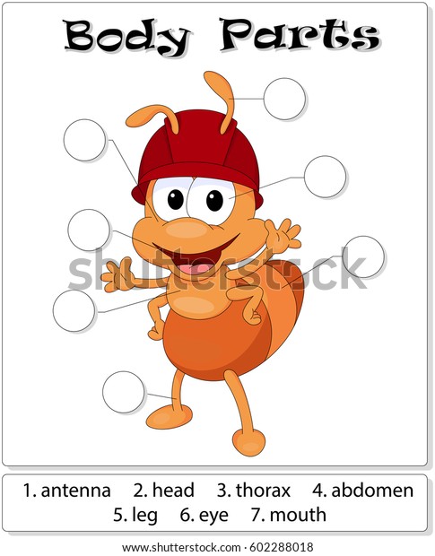 Ant body parts. Animal anatomy in English.\
Write the correct numbers of body parts\
