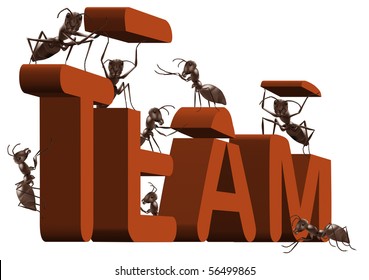 ant team building or team working 3D word created or under construction by ants teambuilding teamwork work together