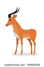 Gazelle Cartoon High Res Stock Images Shutterstock