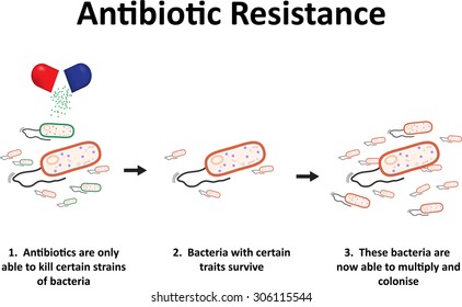 Antibiotic Resistance Stock Vector (Royalty Free) 304747298 | Shutterstock