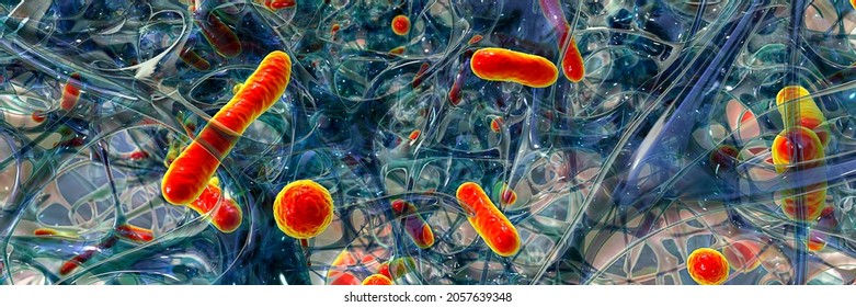 Antibiotic resistant bacteria in a biofilm, 3D illustration. Biofilm is a community of bacteria where they aquire antibiotic resistance and communicate with each other by quorum sensing molecules