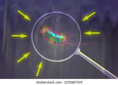 Antibiotic Resistant Bacteria, Resistance, Bacteriology, Infections, 3d Illustration