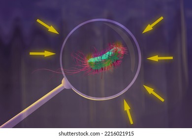 Antibiotic Resistant Bacteria, Resistance, Bacteriology, Infections, 3d Illustration