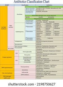 Antibiotics Classification Chart Helpful Medical Students Stock ...