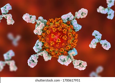Antikörper, die das SARS-CoV-2-Virus angreifen, die konzeptionelle 3D-Abbildung für COVID-19-Behandlung, Diagnose und Prävention