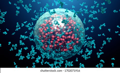 Antibodies Destroy An Infected Cell By A  Virus, Immun Defense Kill The Infected Cell 3d Illustration