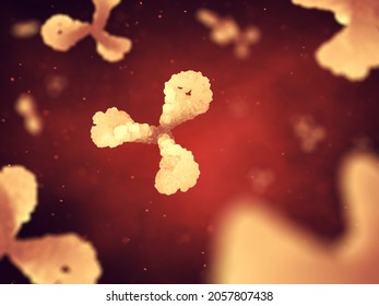 Antibodies ( Immunoglobulin ) Are Small Proteins That Are Part Of The Immune System's Response To Infection. Antibodies Neutralize Or Destroy Bacteria And Viruses, 3d Illustration