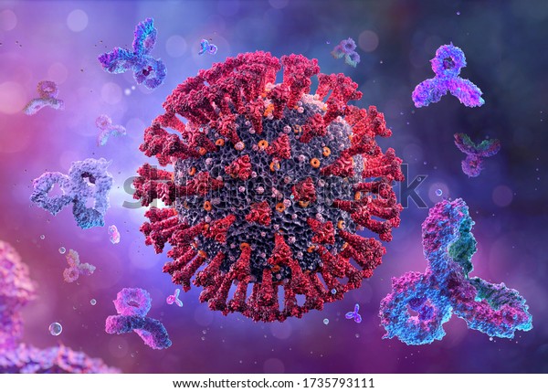 Antibodies immunoglobulins attacking coronavirus\
covid-19 influenza virus cell, 3D immune system medical\
illustration background. Corona virus 2019-ncov sars cell, igm.\
Coronavirus sars-cov-2\
disease