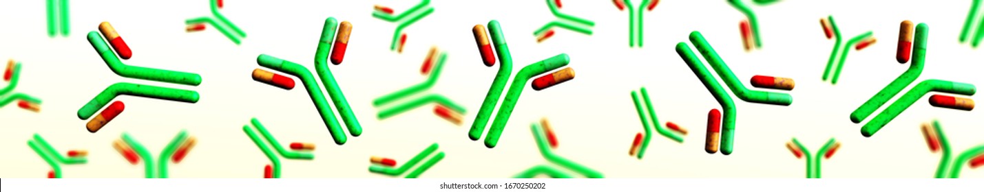 antibodies on a white background,, immunoglobulins, the immune system, 3D rendering