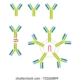 Antibodies Yshaped Proteins Produced By Plasma Stock Illustration 