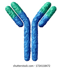 Antibody anatomy isolated on a white background and Immunoglobulin with disulfide bond as a Y shaped protein as part of the immune system to fight disease as a 3D render.