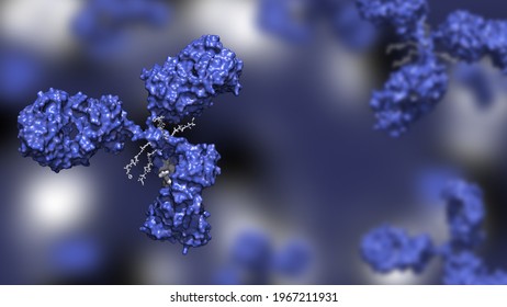 Antibody drug conjugate with four drug compounds linked to IgG immunoglobulin; ADC in blue against blue background 3d render