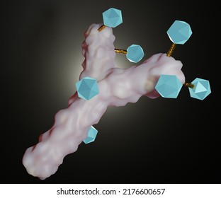 The Antibody With Drug Conjugated Cytotoxic Payload For Drug Carrier Or Delivery 3d Rendering