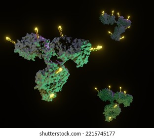 Antibody Drug Conjugates (ADCs) Are Targeted Medicines That Deliver Chemotherapy Agents To Cancer Cells 3d Rendering