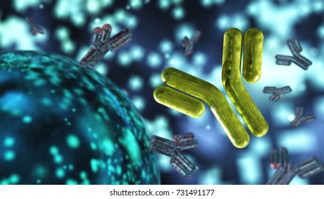 antibody, immunoglobulins, 3d rendering