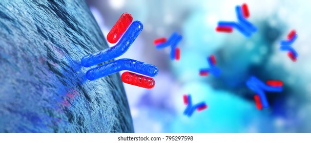 Antibody, Immunoglobulins, 3d Rendering